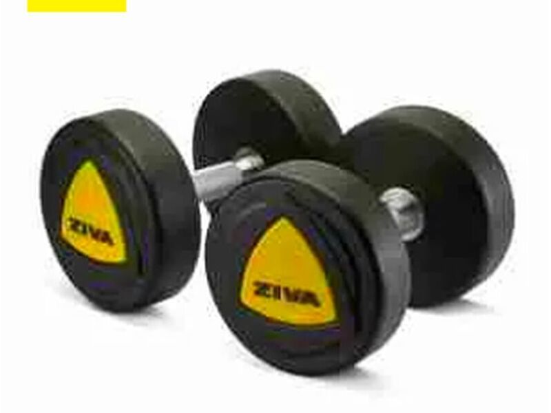 Mancuerna 30kg