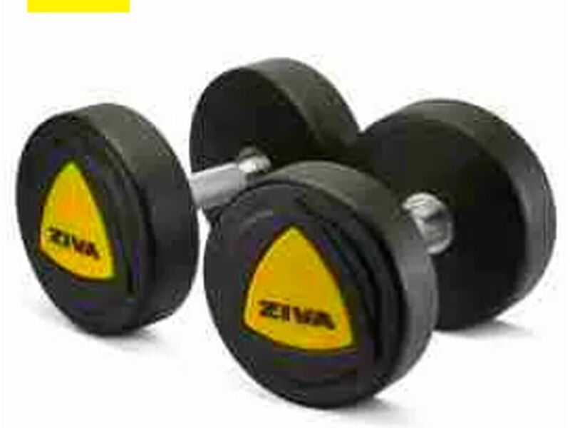 Mancuerna 23kg
