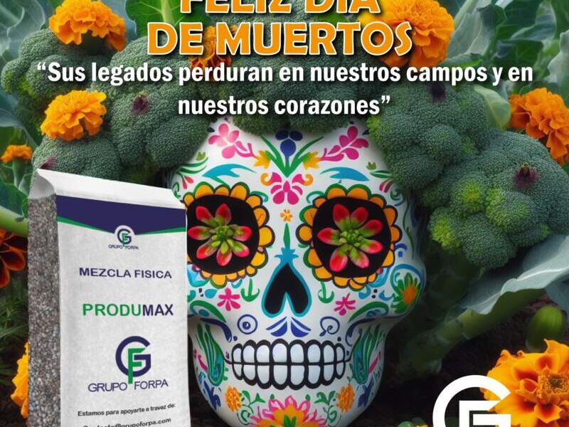 Produmax Mezcla Física México 