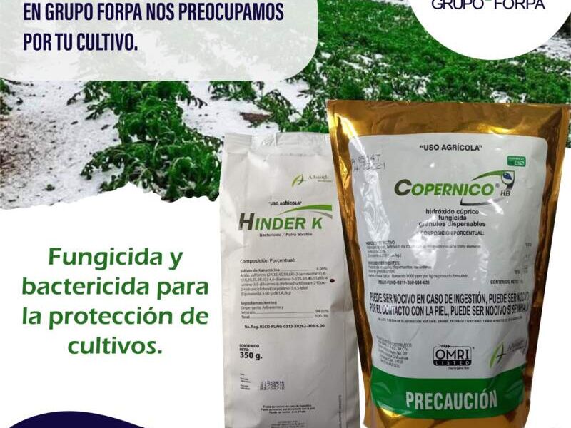 Fungicida bactericida Hinder K México 