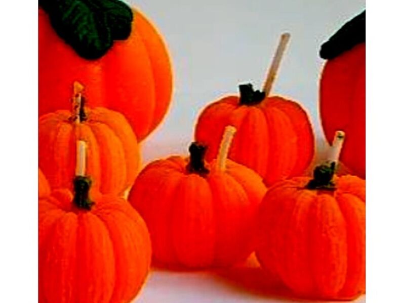 Vela Calabazas Mexico