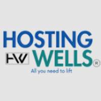 Elevadores Hosting Wells