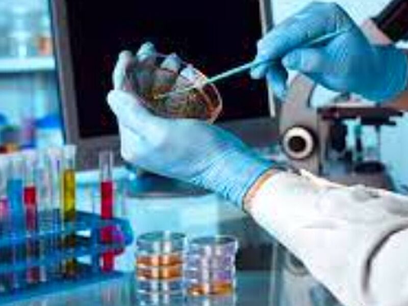 Ensayos microbiológicos México