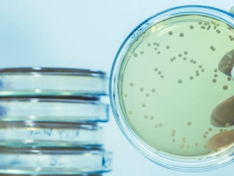 Microbiológia México