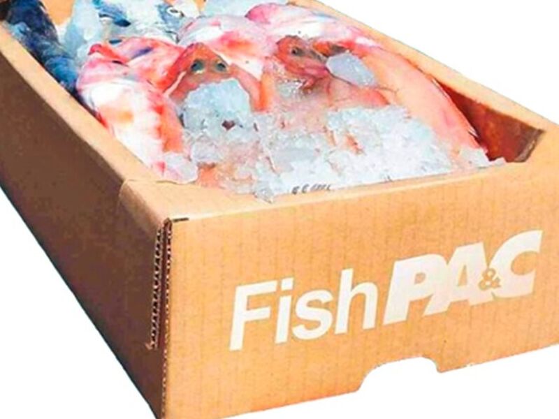 CAJA SECTOR PESQUERO Mérida