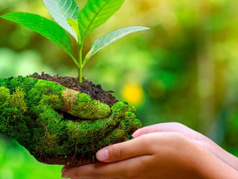 Eco Gestión México 