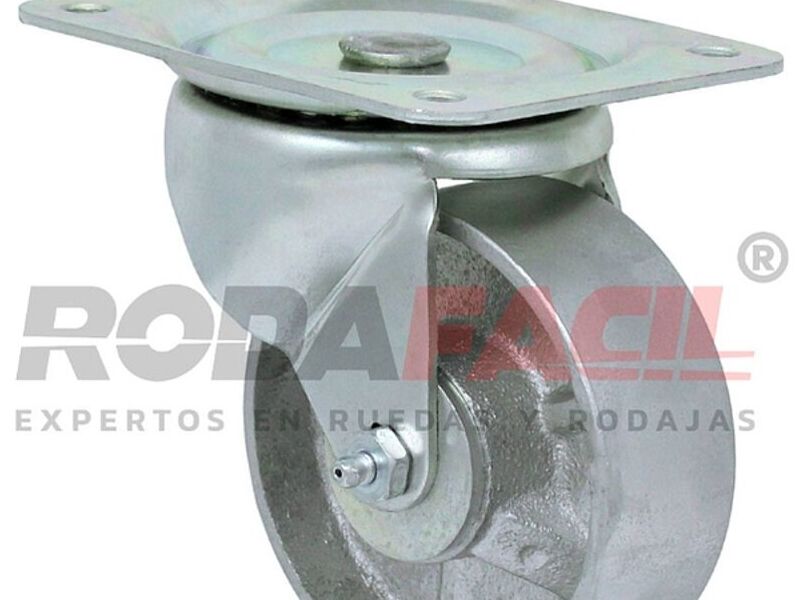 Rodaja rueda Fierro Mexico