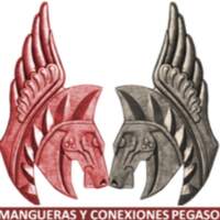 Mangueras y Conexiones Pegaso