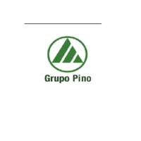 Inmobiliaria PINO SA de CV