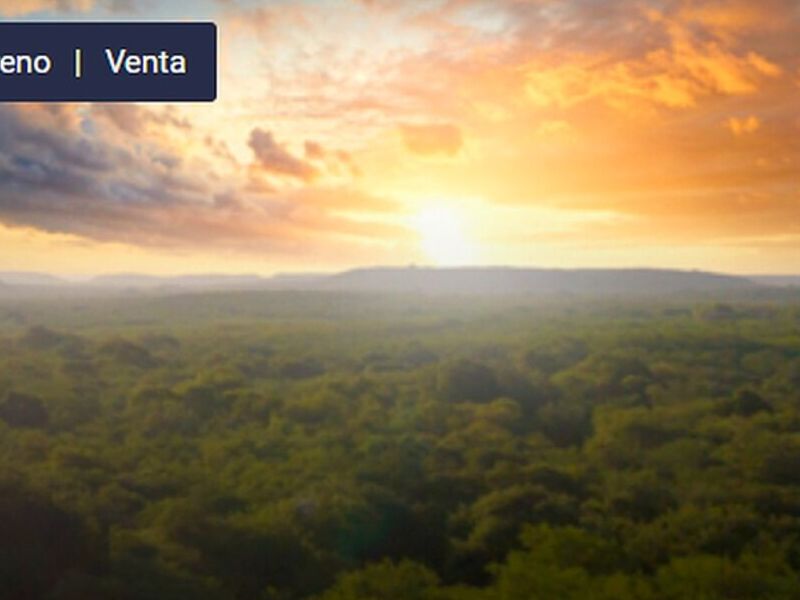 Venta Lote México 