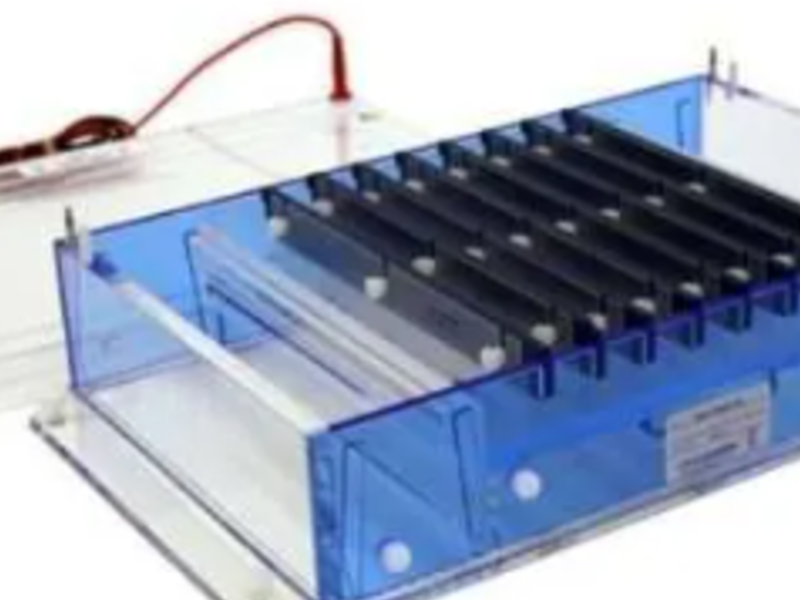 Sistema electroforesis horizontal méxico