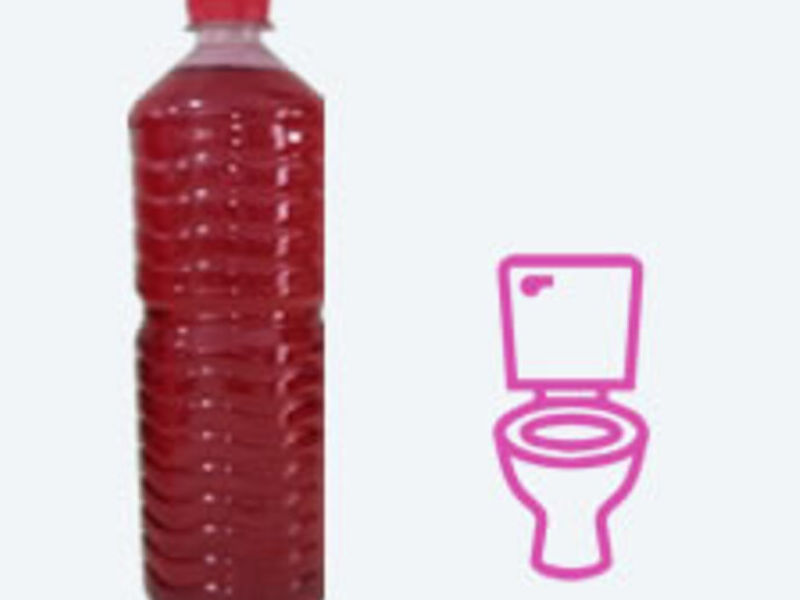 Sarricida México