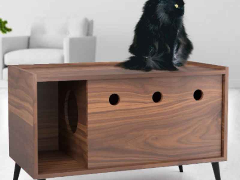 Casa Gatos Grande Rectangular México