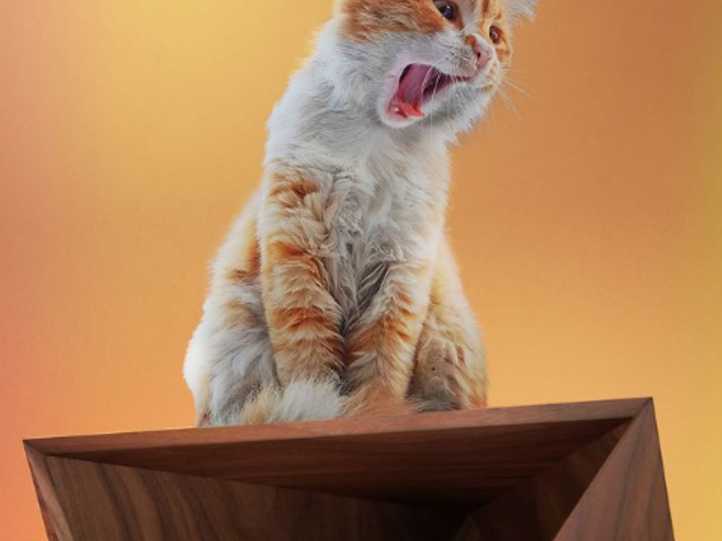 Mueble Gatos Triangular México