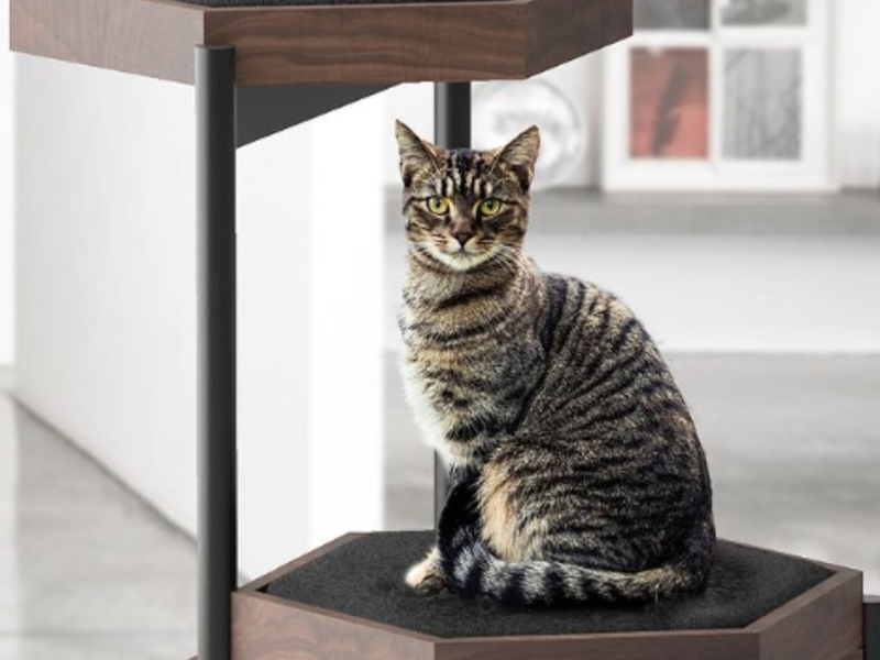 Mueble Gatos 2 Módulos México