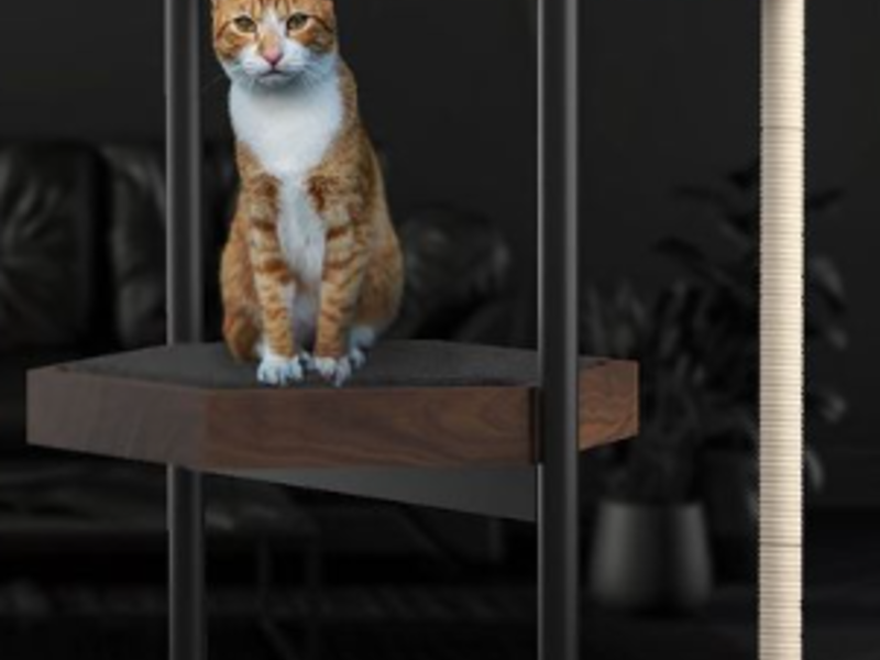 Casa Gatos 3 Módulos México