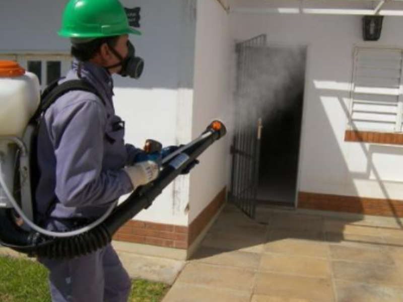 Fumigaciones Guadalajara