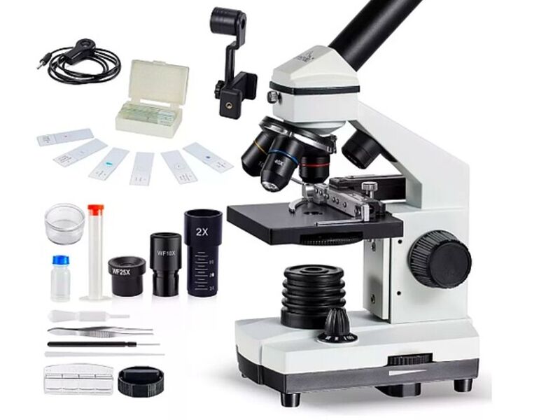 Microscopio  México 