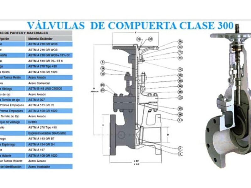Válvula Compuerta 300 San Pedro Tlaquepaque