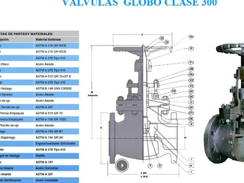 Válvula Globo 300 San Pedro Tlaquepaque