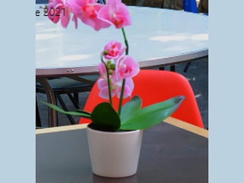 Florero