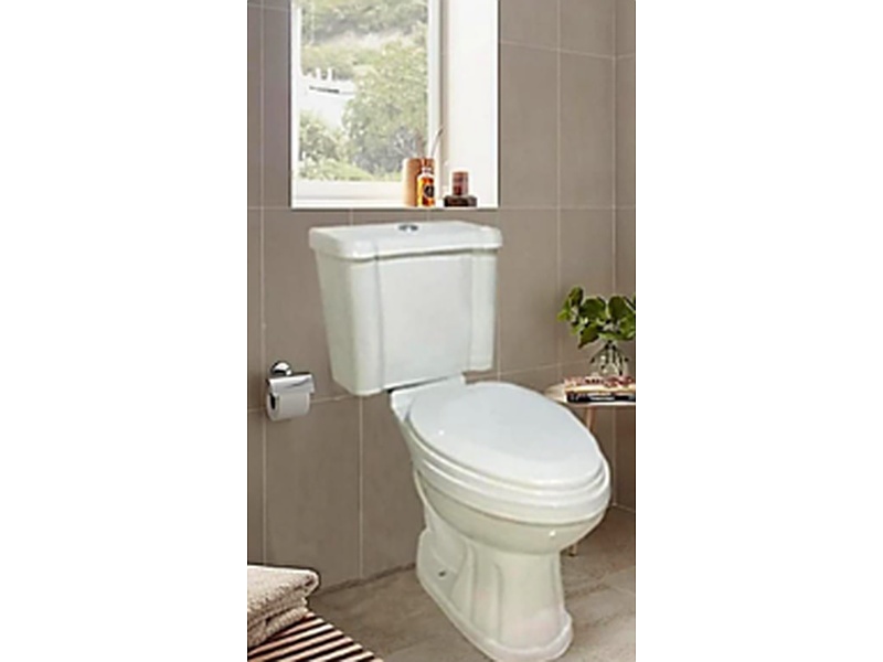 Sanitario de porcelana para baño México