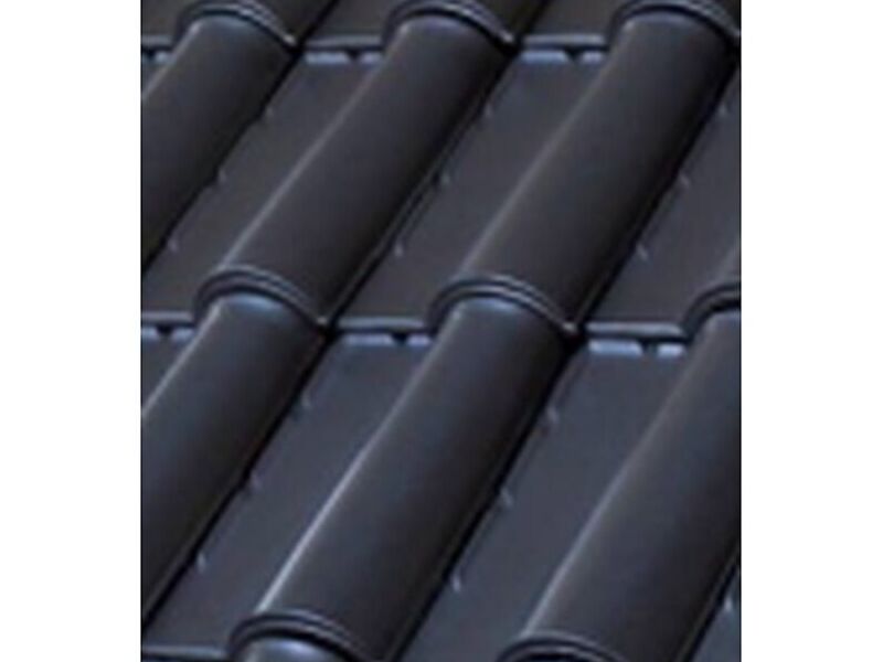 Teja negra Aldama 