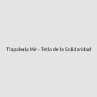 Tlapleria y ferreteria mir