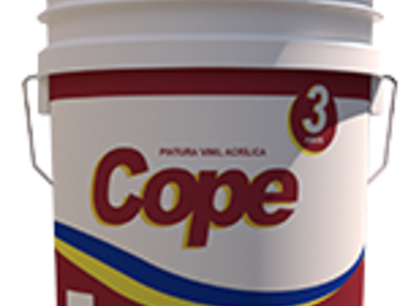 Pintura Constructor México