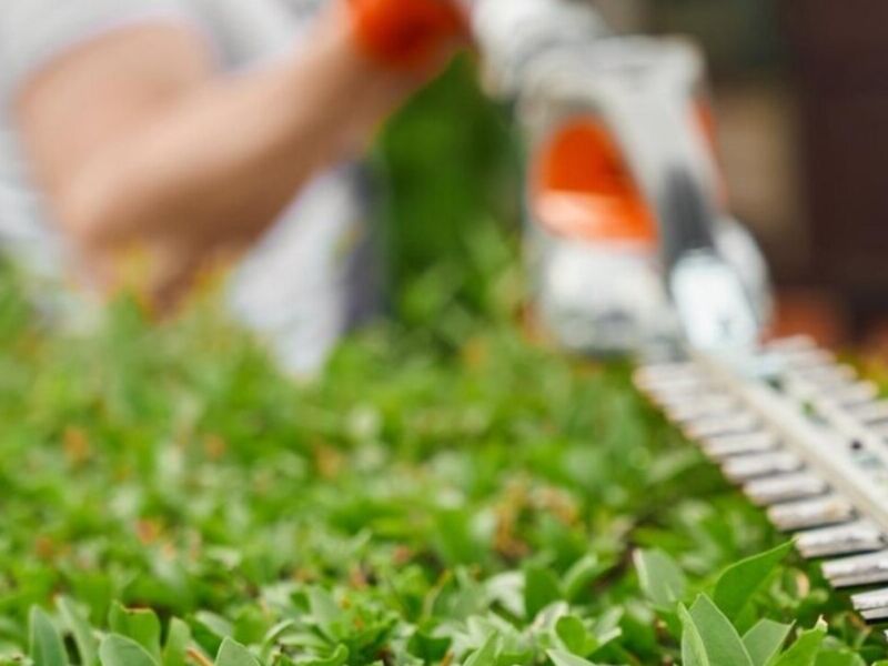 Servicio Jardinería México