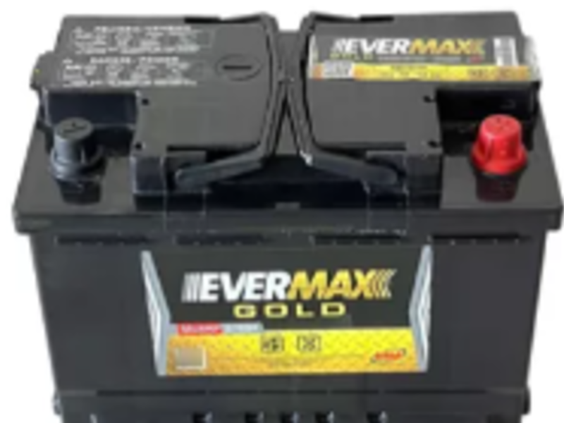 EVERMAX GOLD 48-700 MEXICALI