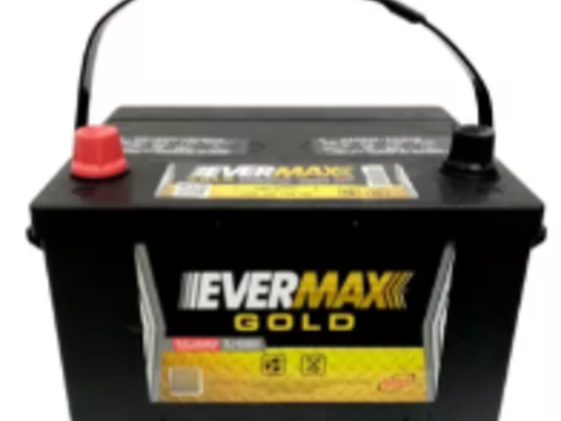 EVERMAX GOLD 58-575 MEXICALI