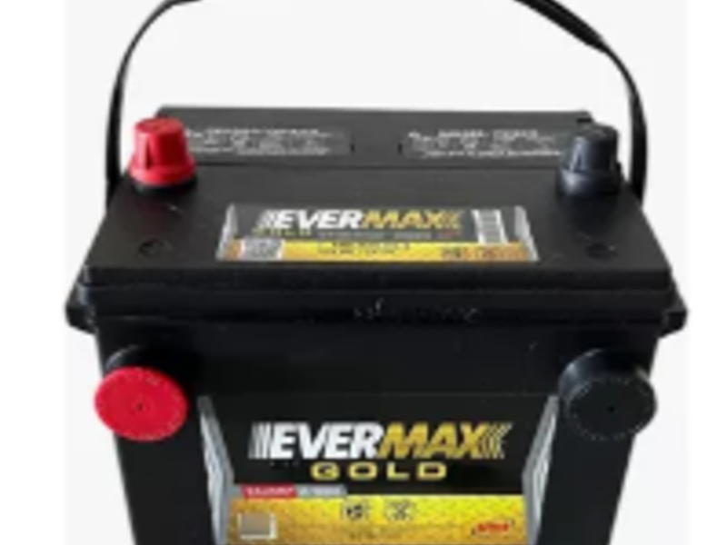 EVERMAX GOLD 75-650 MEXICALI