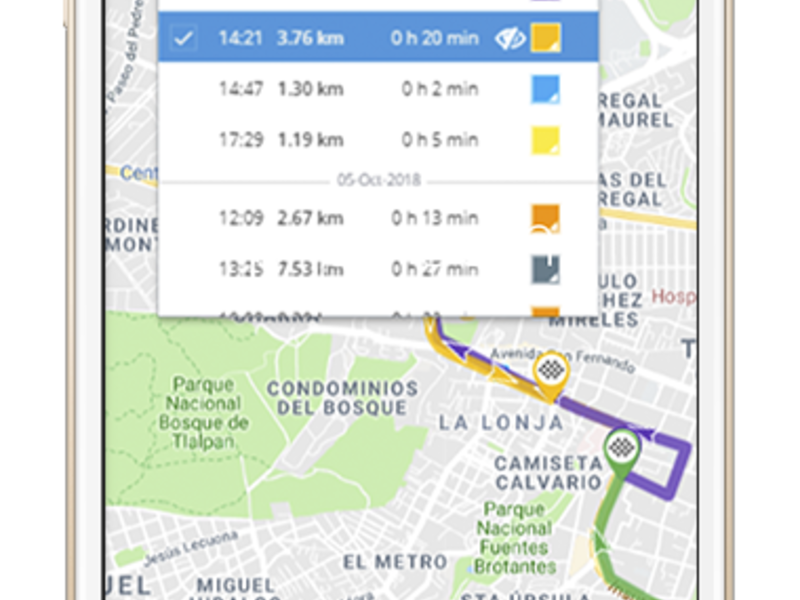 RASTREO SATELITAL MÉXICO QUERÉTARO