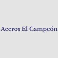 Aceros el campeón