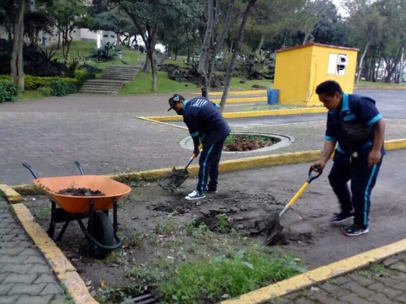 Limpieza general Cuernavaca 