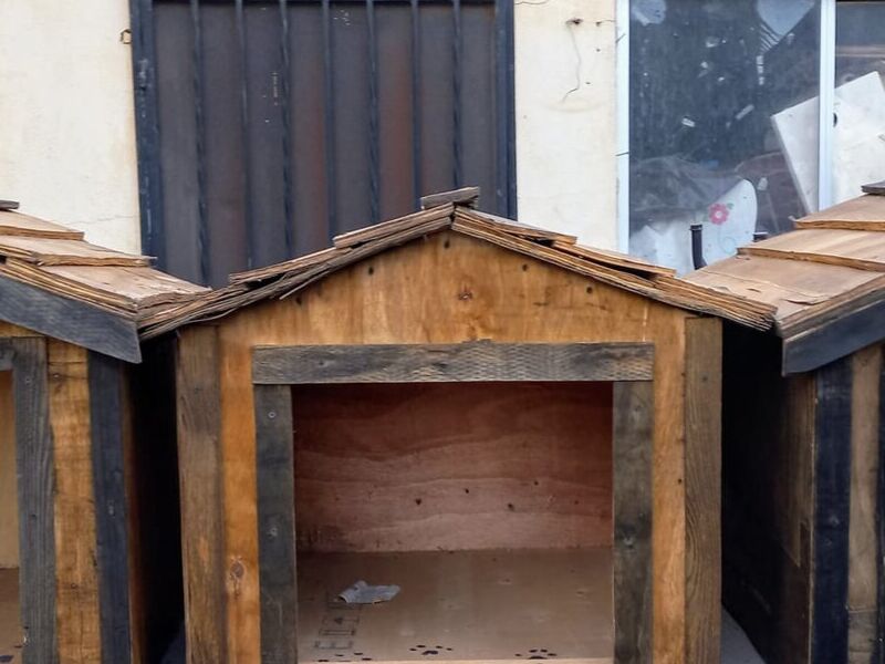 Casa Perro Grande 1 México