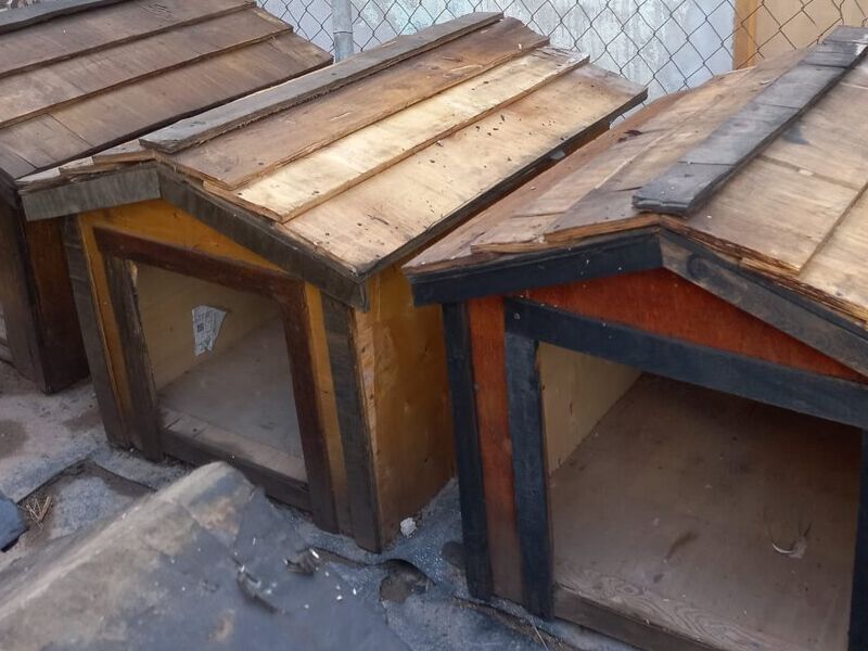 Casa Perro Grande 4 México