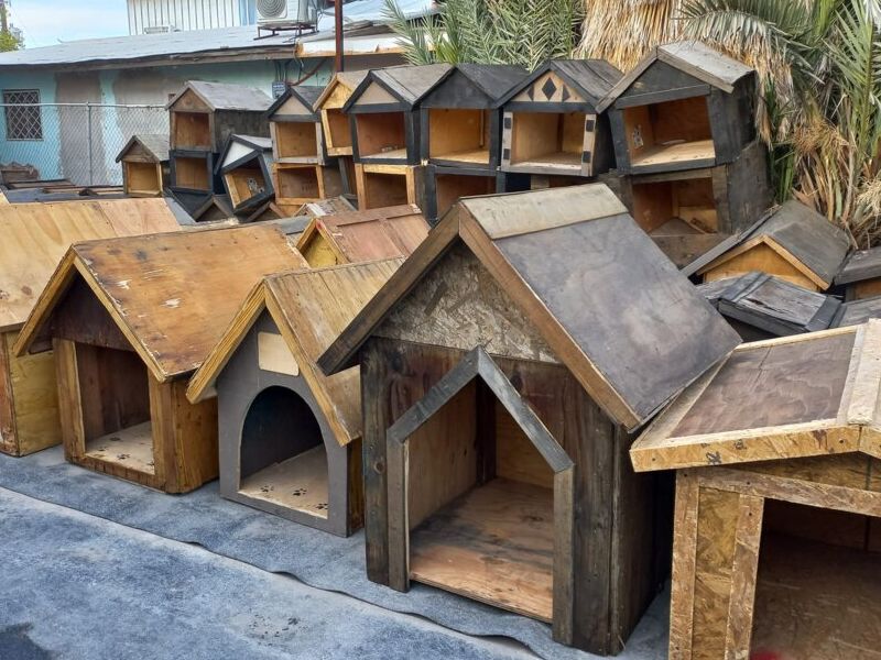 Casa Perro Grande 6 México