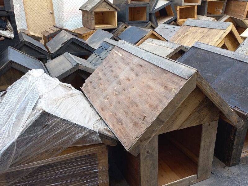 Casa Perro Mediana 3 México