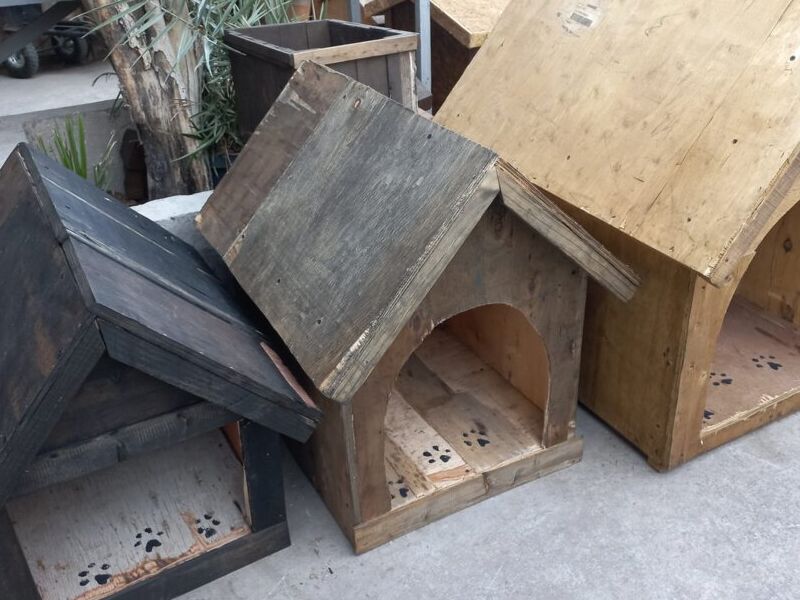 Casa Perro Mediana 5 México
