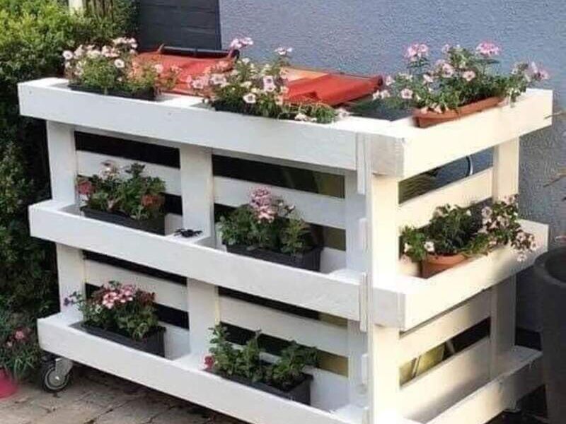 Jardinera Blanca México