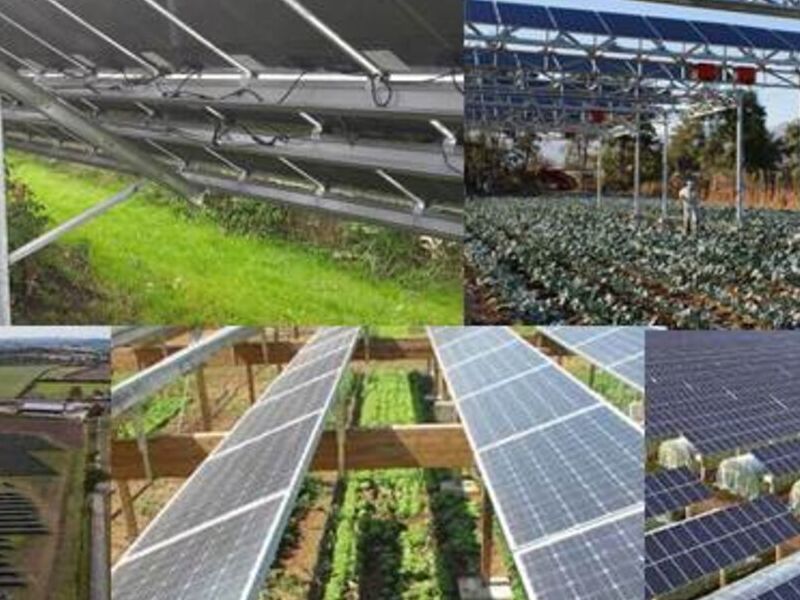 Panel Solar Agricola 