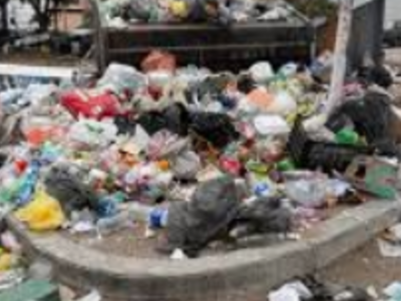 Recolección basura domicilio méxico