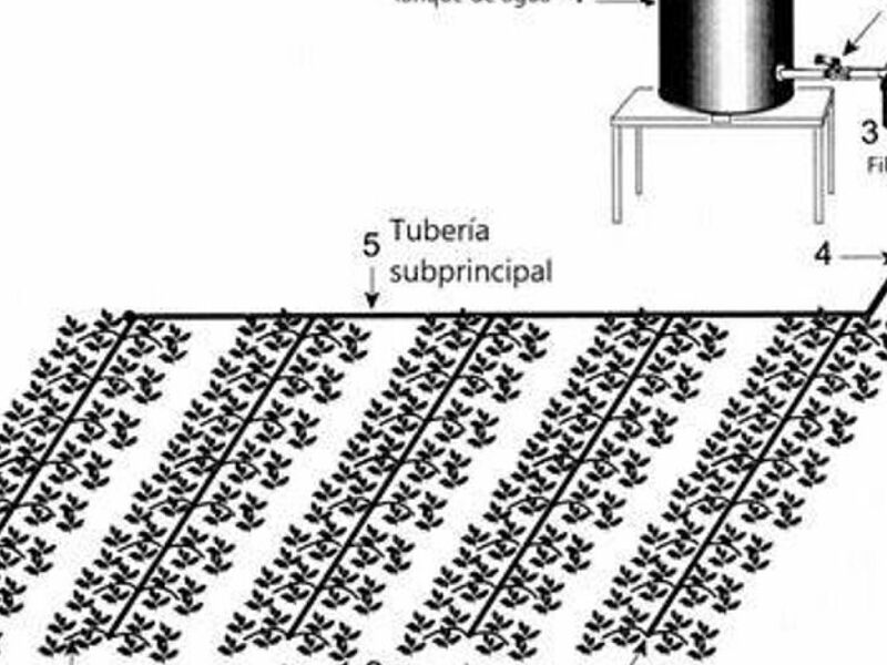 CÁLCULO EQUIPOS DE ALBERCAS Y RIEGO MÉXICO