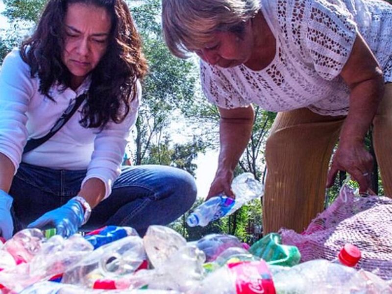 Reciclaje PET natural México 