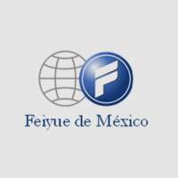 Feiyue Mexico