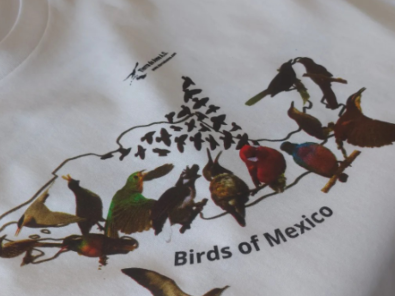 Playera Cda. México