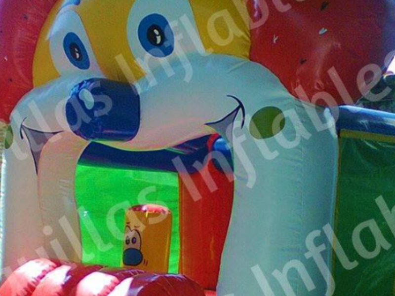 INFLABLE CHIAPAS