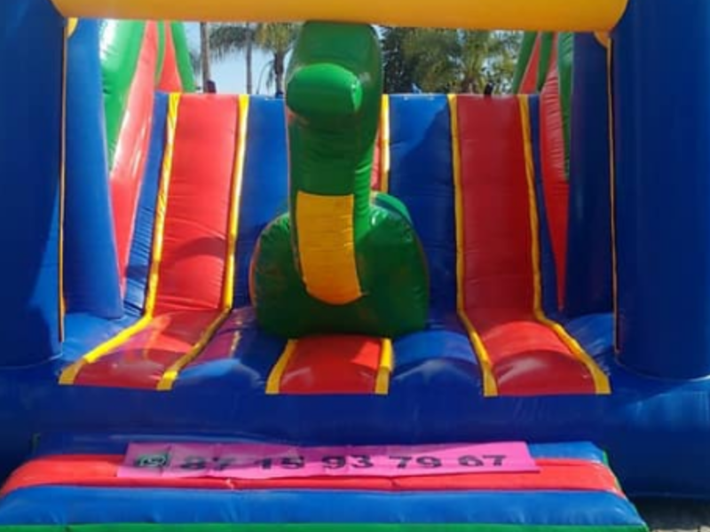 INFLABLE NAYARIT